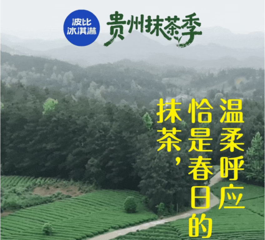波比冰淇淋，贵州抹茶季|一口鲜爽入春！